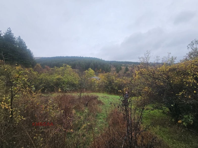 Продава ПАРЦЕЛ, с. Долна Диканя, област Перник, снимка 2 - Парцели - 52360144