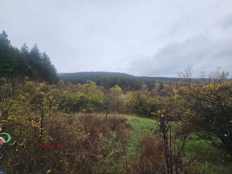 Продава ПАРЦЕЛ, с. Долна Диканя, област Перник