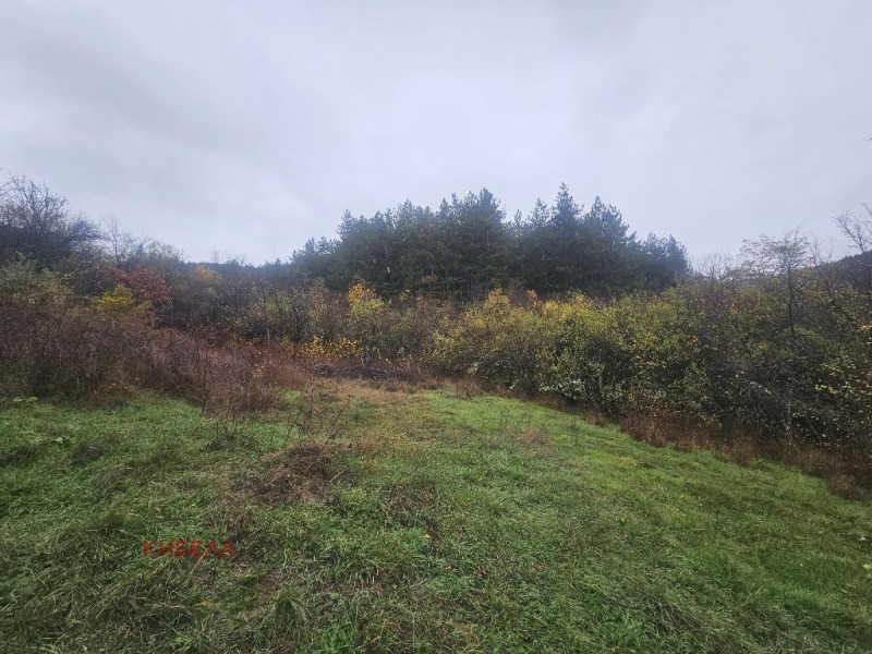 Продава ПАРЦЕЛ, с. Долна Диканя, област Перник, снимка 3 - Парцели - 52360144