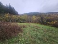Продава ПАРЦЕЛ, с. Долна Диканя, област Перник, снимка 2