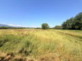 Продава ЗЕМЕДЕЛСКА ЗЕМЯ, с. Браниполе, област Пловдив, снимка 1