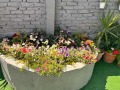 Продава КЪЩА, гр. Велико Търново, Асенов, снимка 9