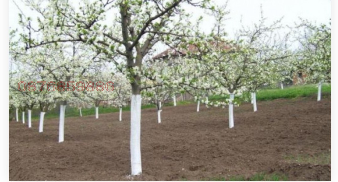 ������� ������ | Imot.bg � ����������� 1