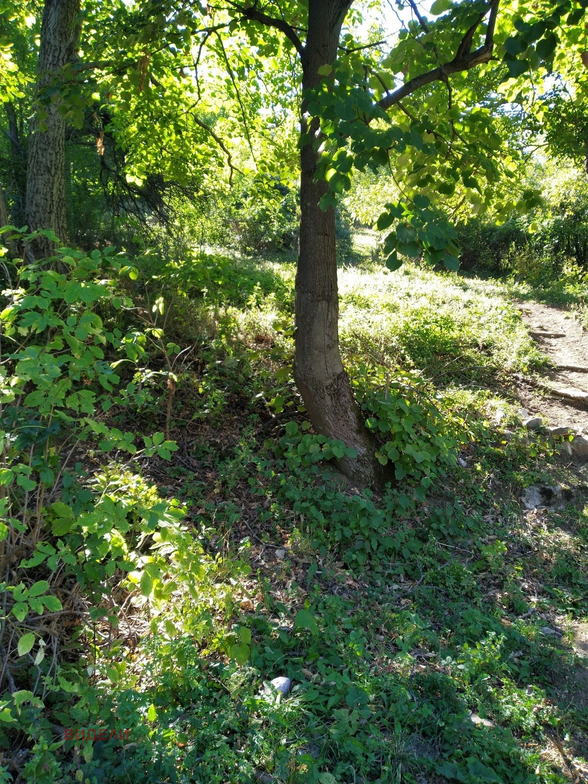 Продава ПАРЦЕЛ | Imot.bg — изображение 12