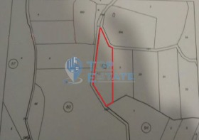 ����� ������� ������,�. ��������, ������ ������ �������