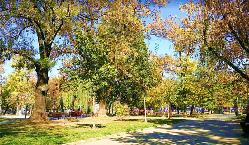 Продава 3-СТАЕН, гр. София, Център, снимка 14 - Апартаменти - 53370310