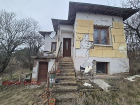 ������ ������� ����