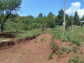 Продава ПАРЦЕЛ, град Габрово, Промишлена зона • 70000 € • 43528453 — Holmes.bg