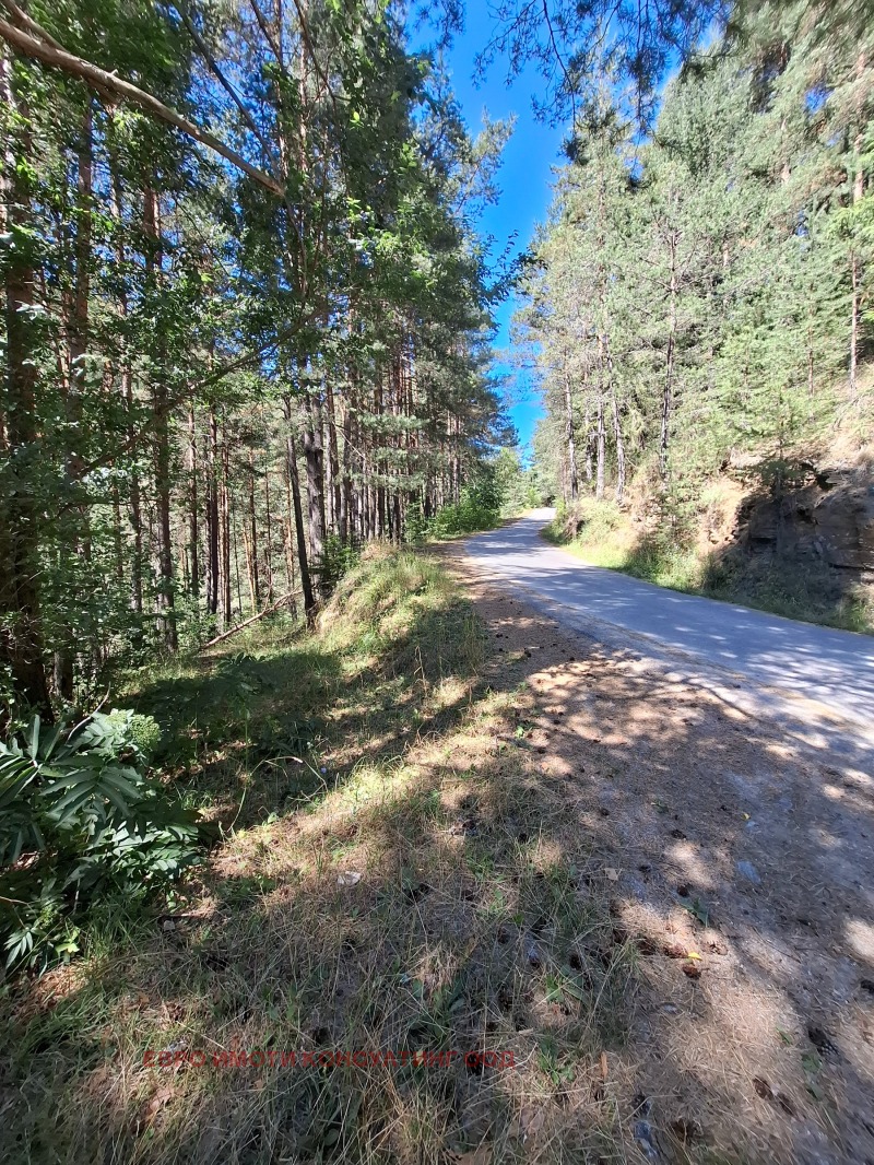 Продава ЗЕМЕДЕЛСКА ЗЕМЯ в област Смолян, гр. Чепеларе - 13 дка / 70 000 € » 136 908.10 лв., ЕВРО ИМОТИ КОНСУЛТИНГ ООД