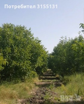 Парцел с. Цалапица, област Пловдив 1