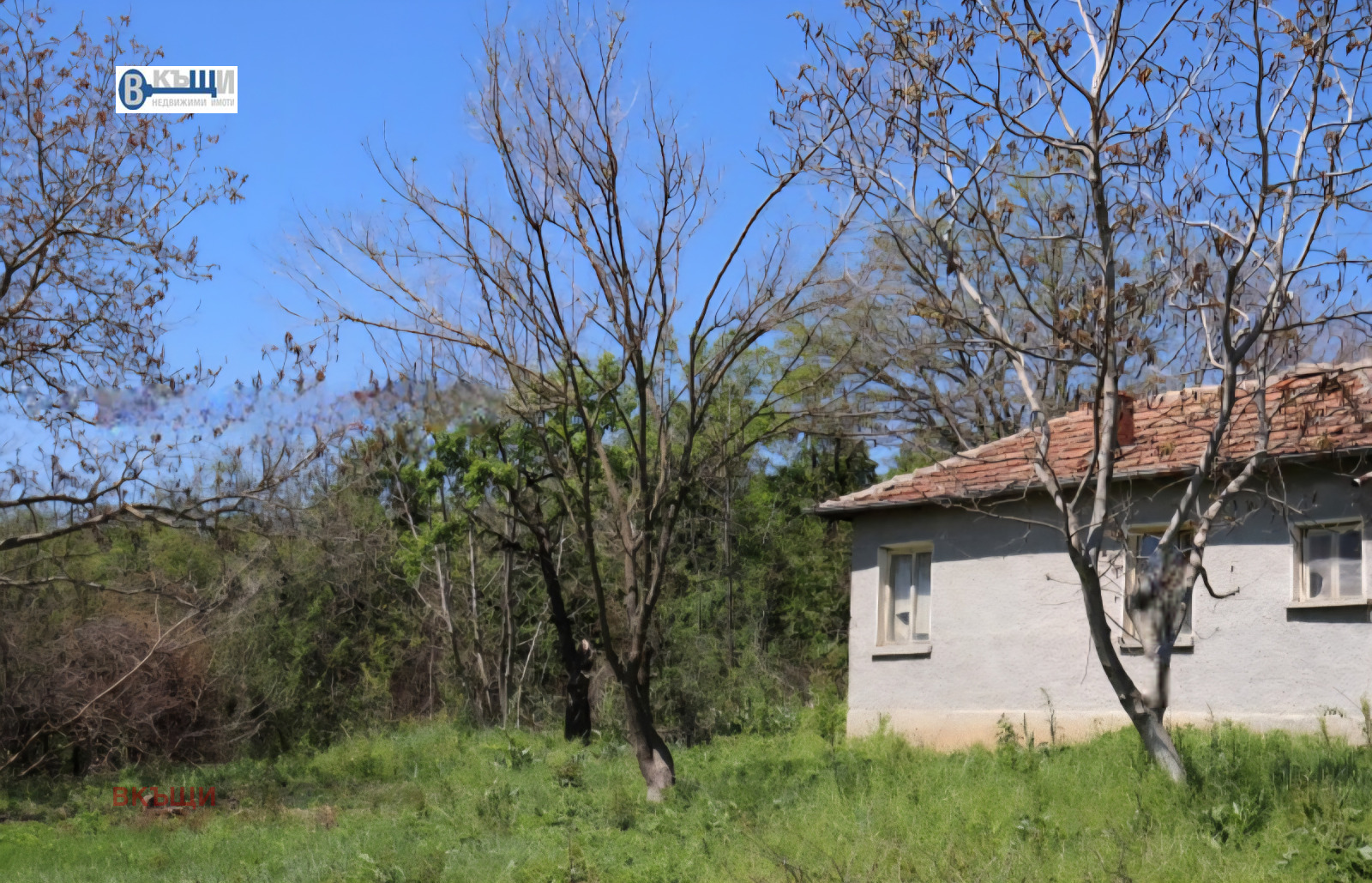 Продава КЪЩА, с. Пчелище, област Велико Търново, снимка 2 - Къщи - 50847719