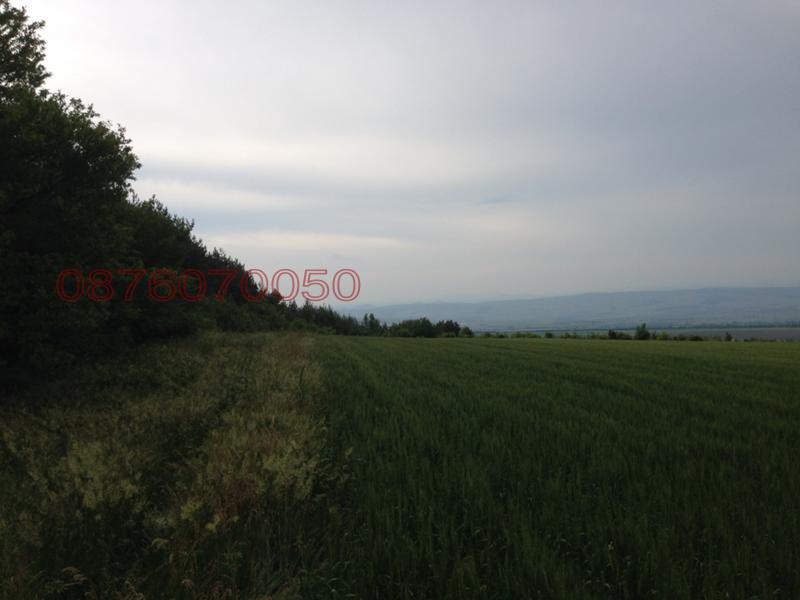 ������� ������ | Imot.bg � ����������� 8