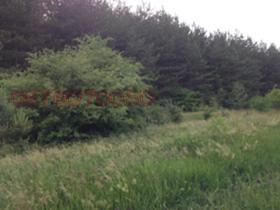 ������� ������ | Imot.bg � ����� ������ 7