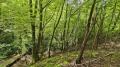 Продава ПАРЦЕЛ, с. Чифлик, област Ловеч, снимка 7