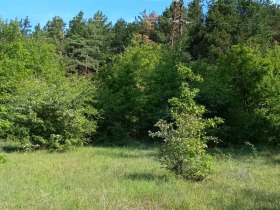 Продава парцел област София гр. Годеч - [1] 