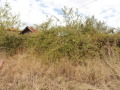 Продава ПАРЦЕЛ, с. Паталеница, област Пазарджик, снимка 2
