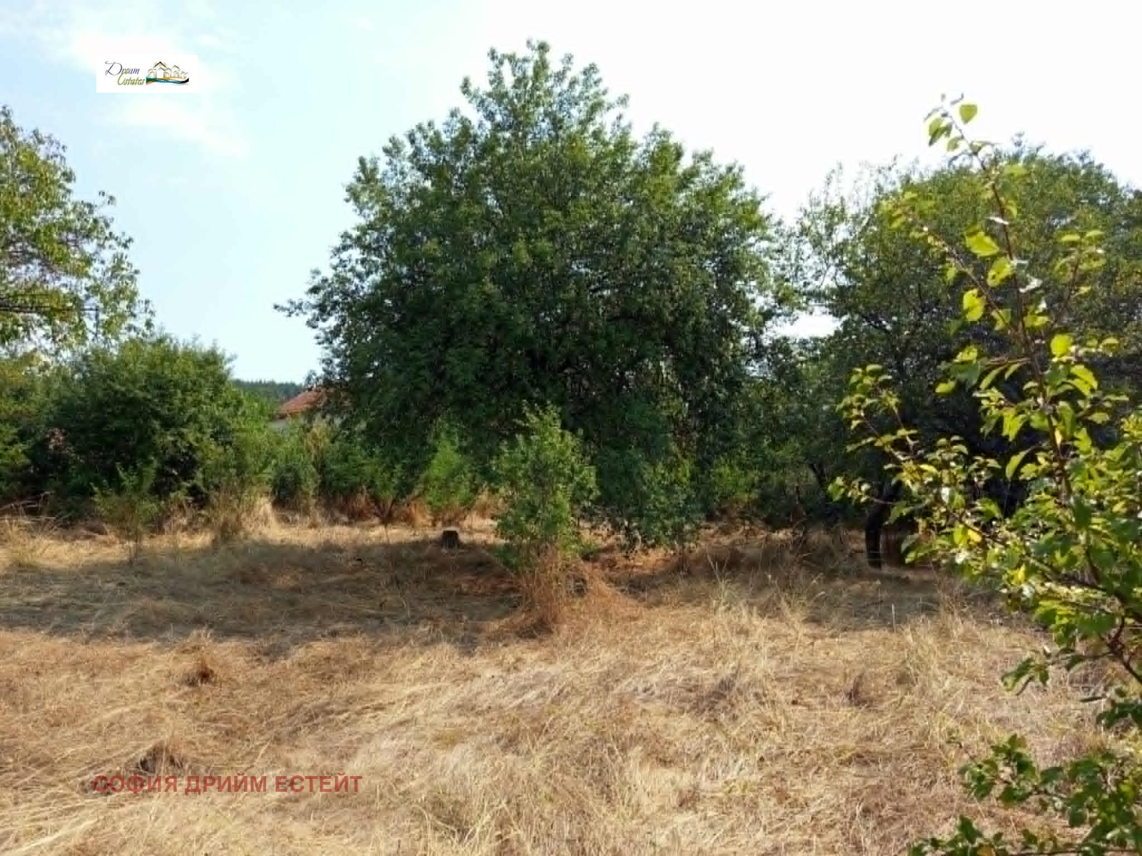 ������� ������ | Imot.bg � ����������� 2