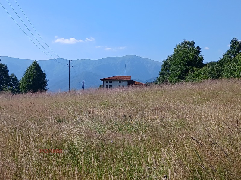 Προς πώληση  Οικόπεδο περιοχή Lovech , Απρηλτση , 3792 τ.μ | 25725304 - εικόνα [3]