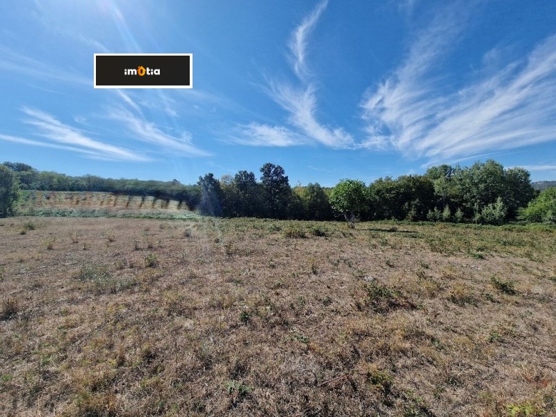 Продава ПАРЦЕЛ, с. Голяма Желязна, област Ловеч, снимка 2 - Парцели - 53246633