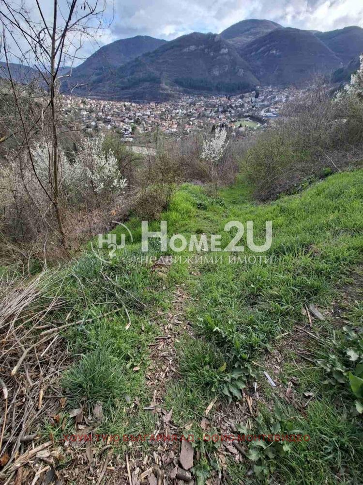 Продава ПАРЦЕЛ, гр. София, Борово, снимка 3 - Парцели - 56162662