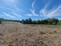 Продава ПАРЦЕЛ, с. Голяма Желязна, област Ловеч, снимка 2
