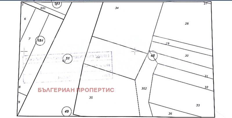 Продава ПАРЦЕЛ, с. Баня, област Благоевград, снимка 11 - Парцели - 53506358