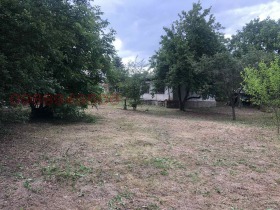 ����� ������� ����,�. ���������, ������ �������