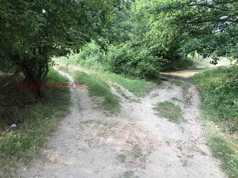 Продава КЪЩА, с. Кръстевич, област Пловдив, снимка 8 - Къщи - 53103930