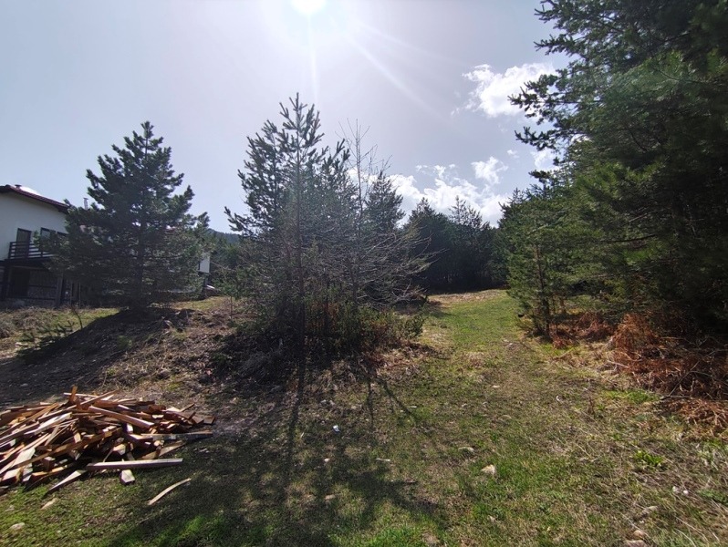 Til salg  Grund region Blagoevgrad , Bansko , 3115 kvm | 89327006 - billede [10]