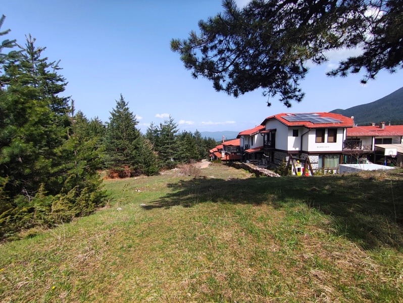 Til salg  Grund region Blagoevgrad , Bansko , 3115 kvm | 89327006 - billede [2]