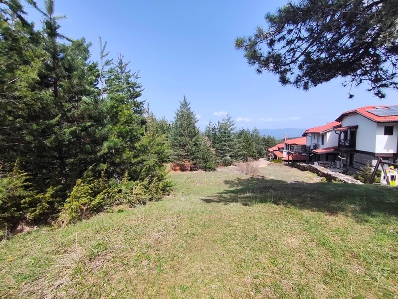 Til salg  Grund region Blagoevgrad , Bansko , 3115 kvm | 89327006 - billede [3]