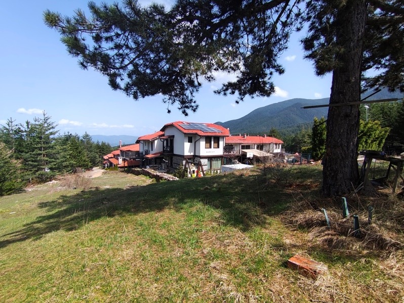 Til salg  Grund region Blagoevgrad , Bansko , 3115 kvm | 89327006 - billede [4]