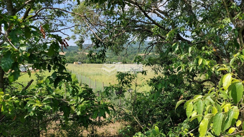 For Sale  Plot region Burgas , Rosen , 3300 sq.m | 79294821 - image [4]