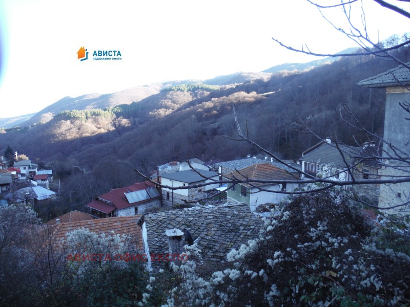 Продава ПАРЦЕЛ, с. Делчево, област Благоевград, снимка 2 - Парцели - 53315077