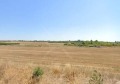 Продава ПАРЦЕЛ, област Бургас, с. Голямо Буково • 53000 € / 103658.99 лв. • 99794896 1