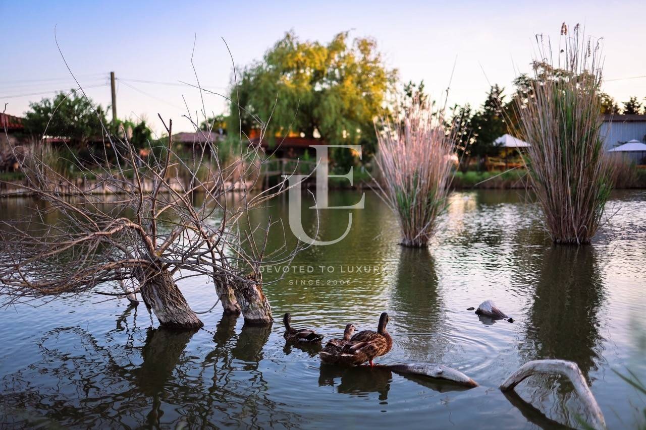 Продава КЪЩА | Imot.bg — изображение 4