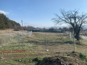 ����� ������� ������,��. �����, ������ �������