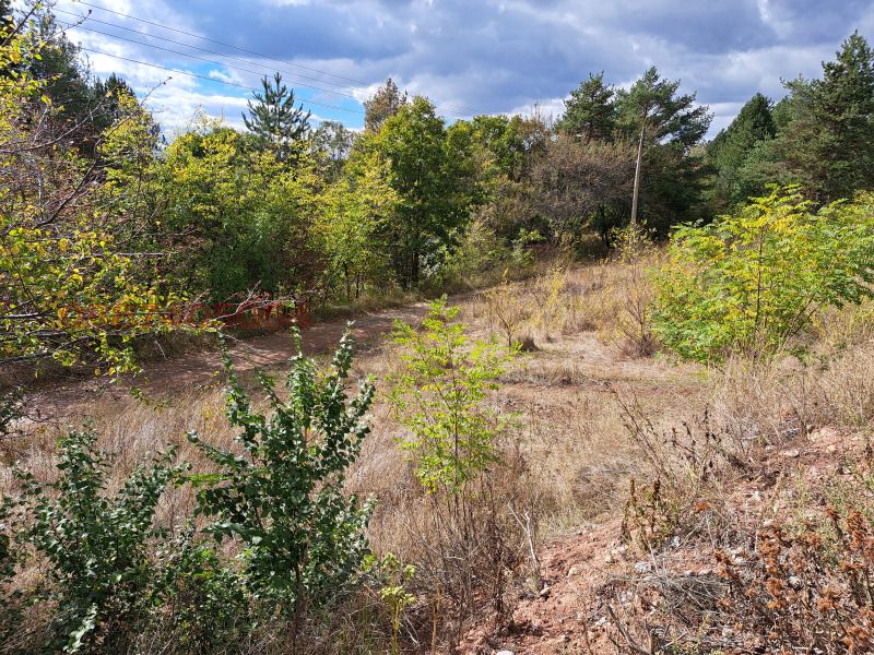 Продава ПАРЦЕЛ, гр. София, с. Подгумер, снимка 4 - Парцели - 52888359