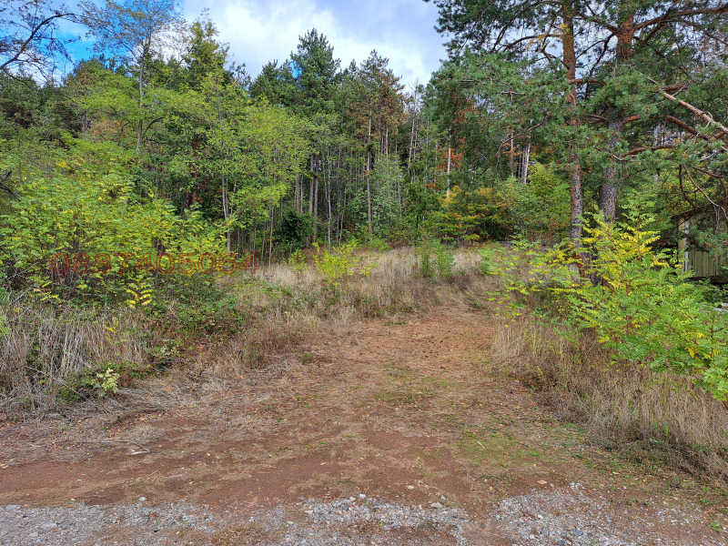 Продава ПАРЦЕЛ, гр. София, с. Подгумер, снимка 7 - Парцели - 52888359