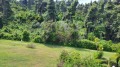 Продава КЪЩА, Гърция, Халкидики • 310000 € • 81598884 — Holmes.bg
