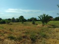 Продава КЪЩА, област Добрич, с. Българево • 98000 € • 45124698 — Holmes.bg