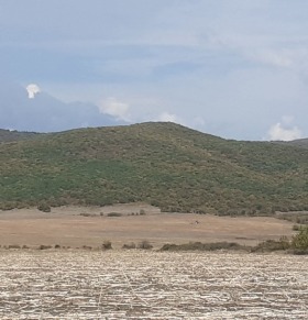 ������ ������� ������