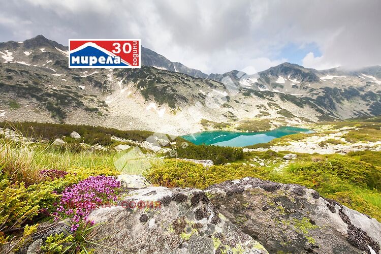 ������� ������ | Imot.bg � ����������� 6