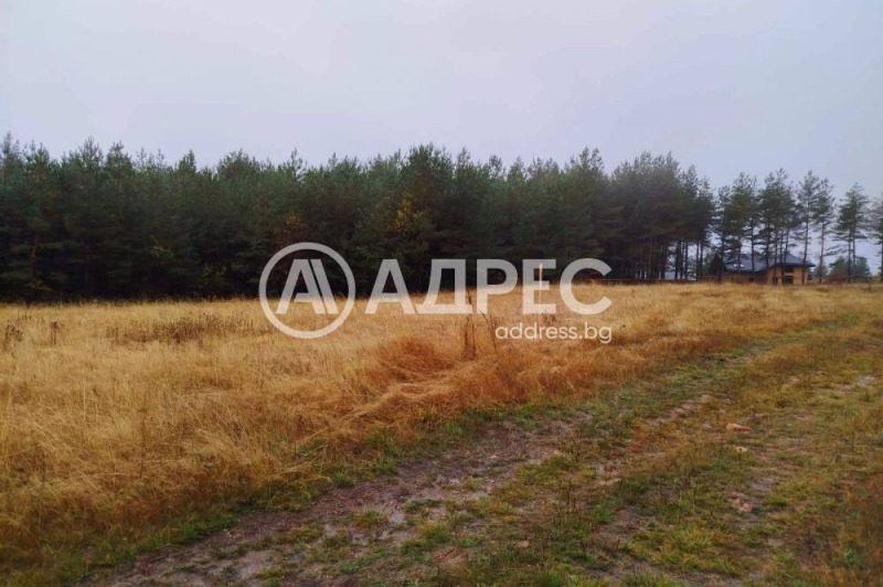 Продава ПАРЦЕЛ, в.з.Ярема, област София област, снимка 2 - Парцели - 51431767
