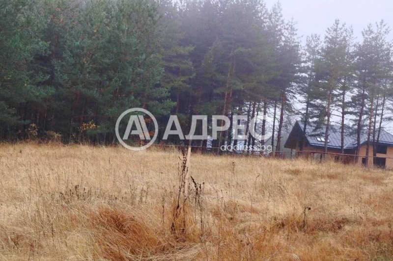Продава ПАРЦЕЛ, в.з.Ярема, област София област, снимка 5 - Парцели - 51431767