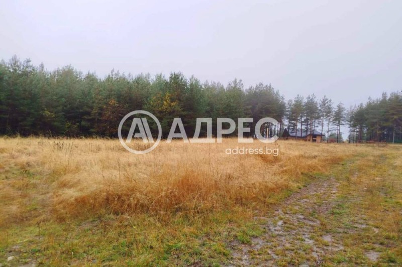 Продава ПАРЦЕЛ, в.з.Ярема, област София област, снимка 3 - Парцели - 51431767