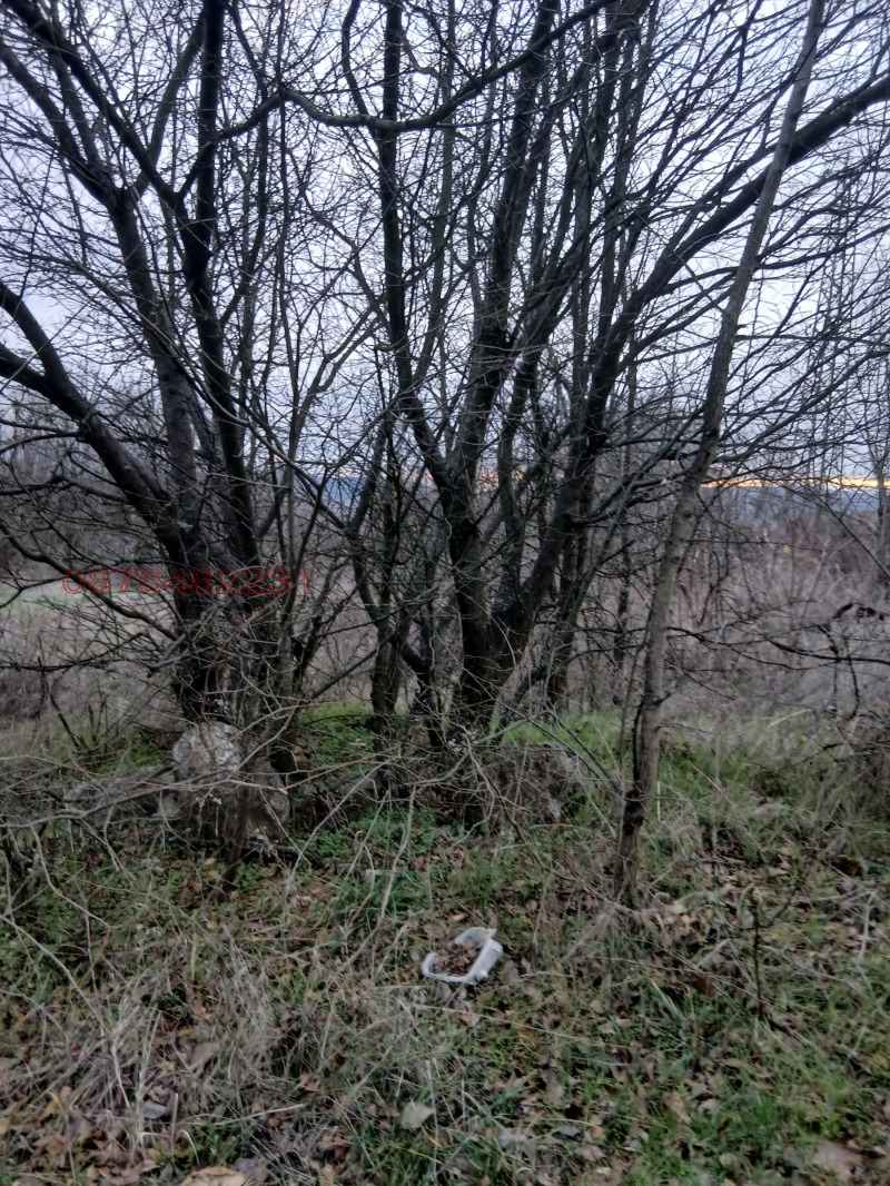 Продава ПАРЦЕЛ, с. Долна Диканя, област Перник, снимка 2 - Парцели - 53041476