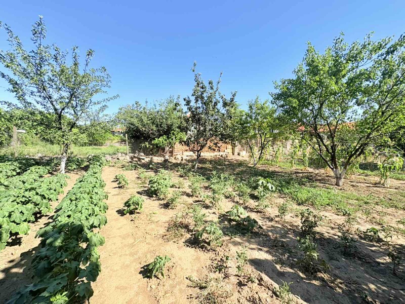 Na prodej  Spiknutí oblast Ruse , Štraklevo , 670 m2 | 19132773
