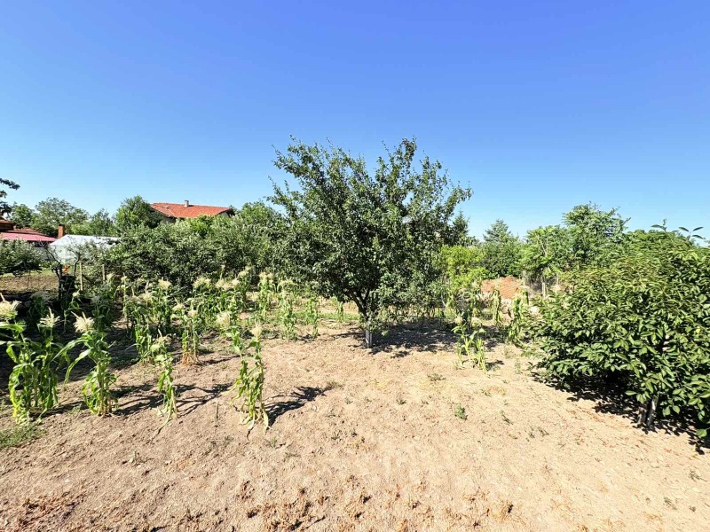Na prodej  Spiknutí oblast Ruse , Štraklevo , 670 m2 | 19132773 - obraz [3]