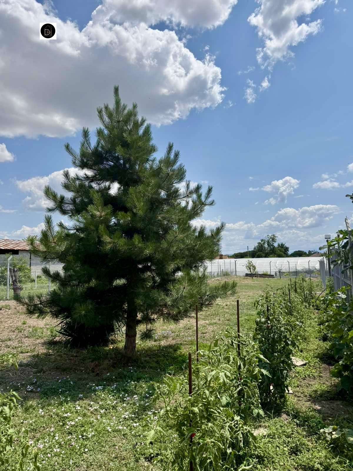 Продава КЪЩА, с. Малък чардак, област Пловдив, снимка 15 - Къщи - 55185535